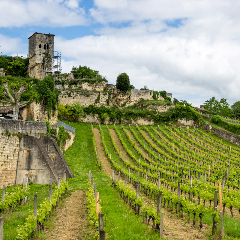 Bordeaux