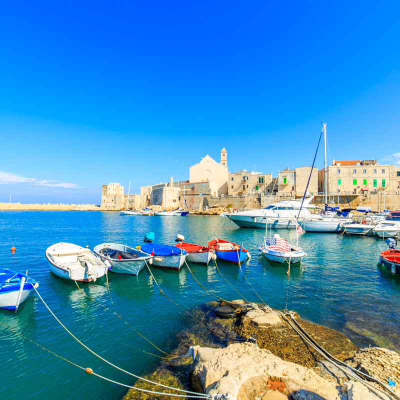 Bari